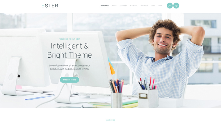 Ester – Multipurpose WordPress Theme